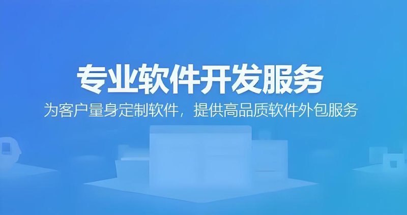 探索定制化软件服务如何助力企业成长